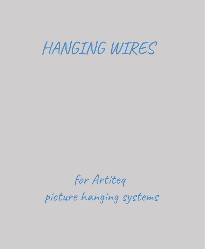 Artiteq Perlon Wire Corde de Suspension Argenté Transparent 1,5 m 