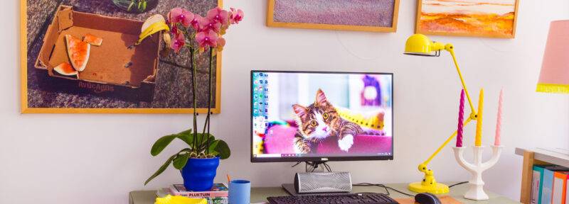NL thuiswerkplek kleurrijk kat computer