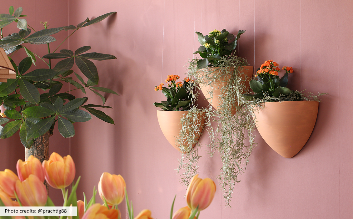 NL botaniq hangbloempot gevuld met bloemen aan muur in woonakmer