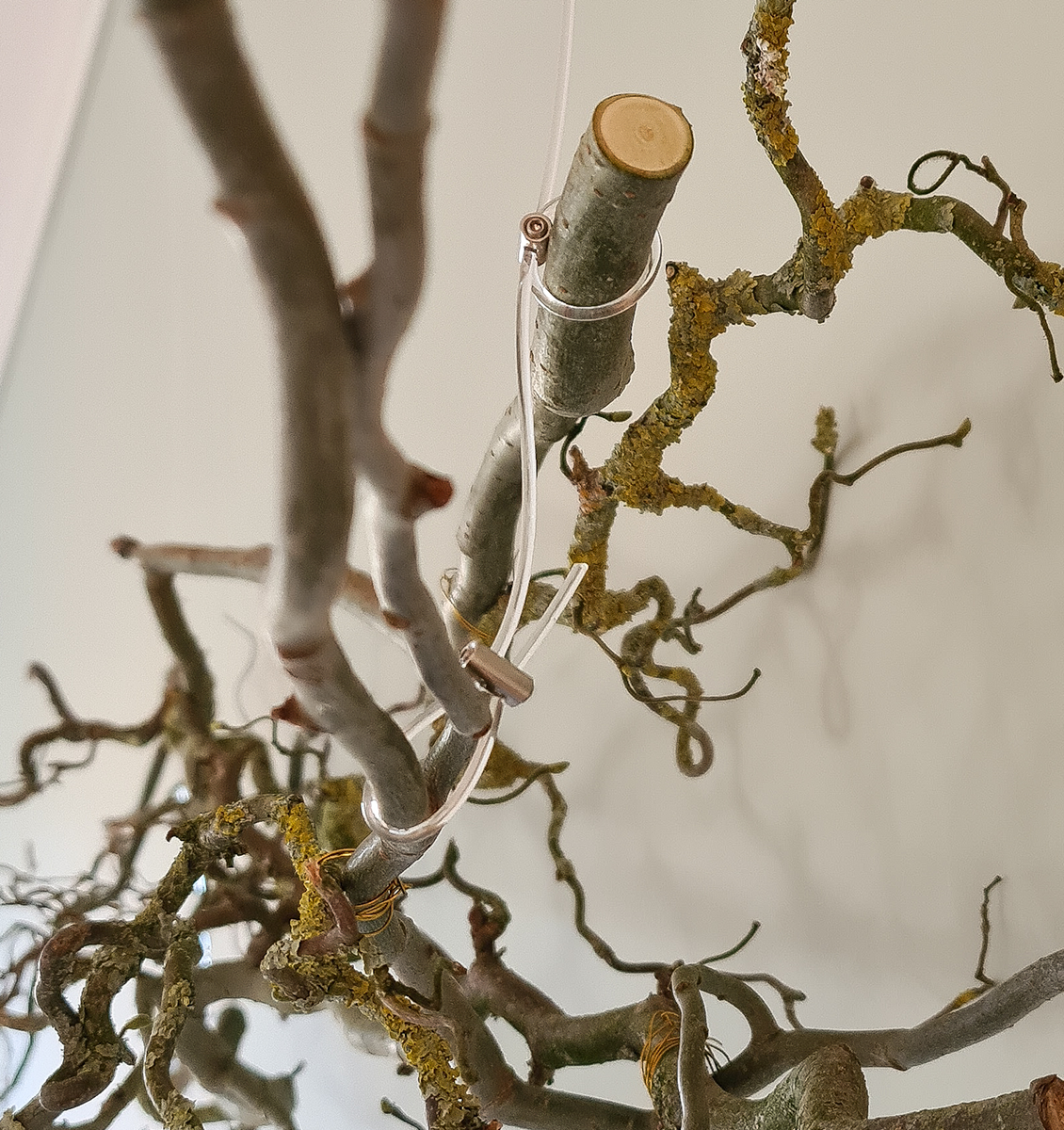 EN ornamental branches hung on wall with loop maker