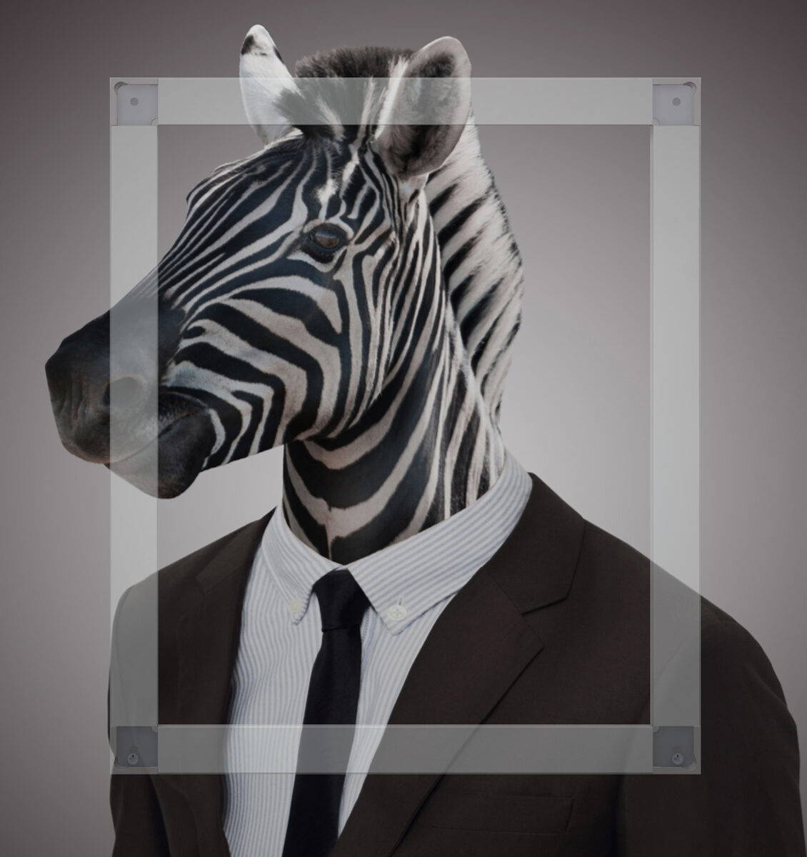 NL zebra kunstwerk met back hanging frame van Artiteq