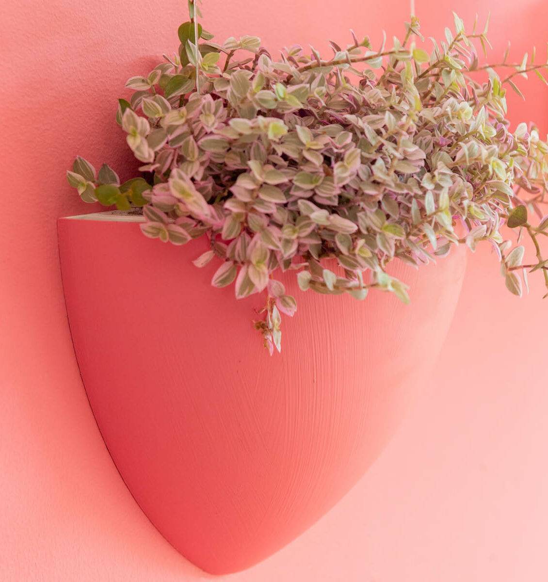 NL customized Botaniq hangbloempot in het roze aan een roze muur
