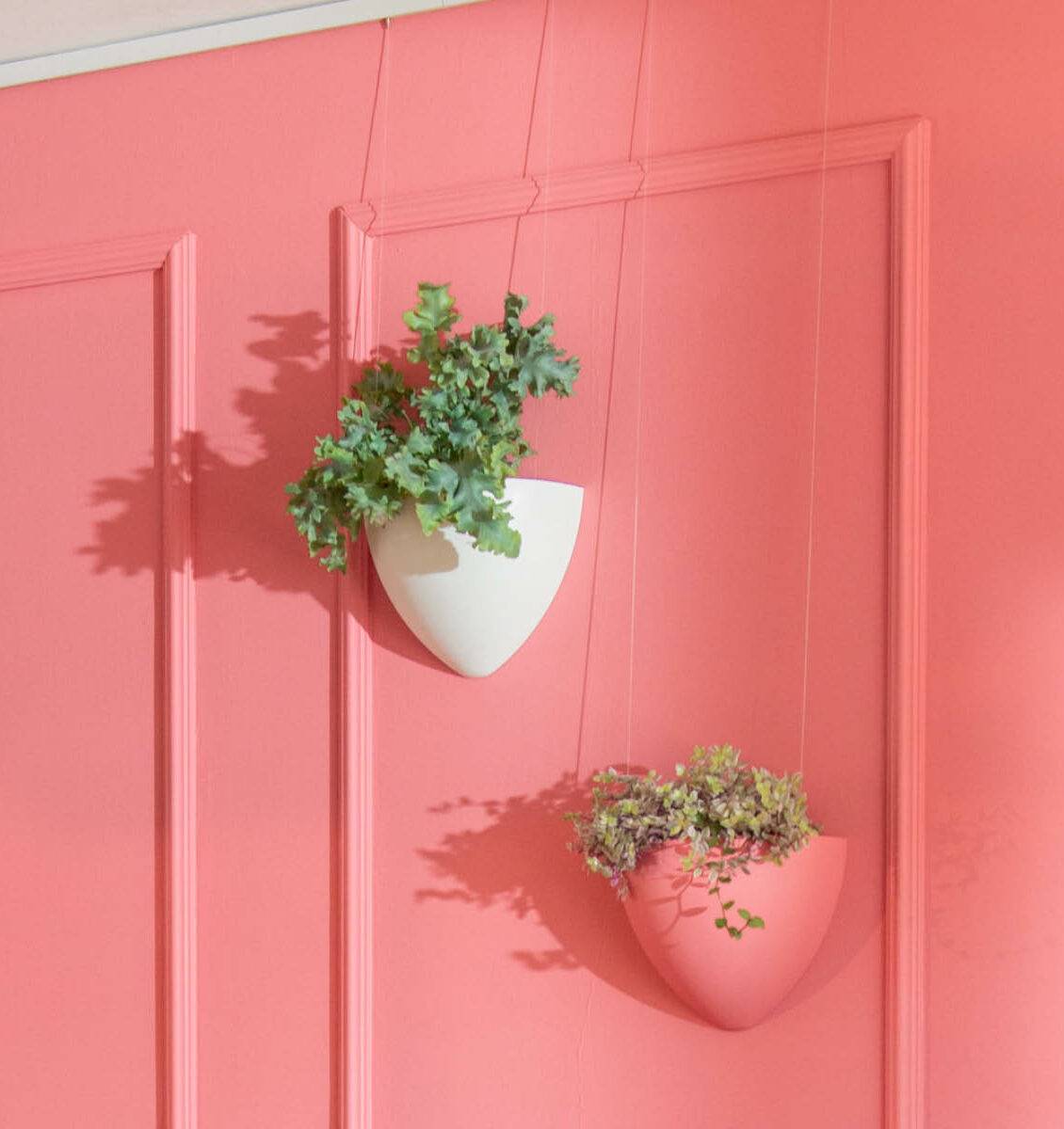 NL twee hangbloempotten aan een roze muur