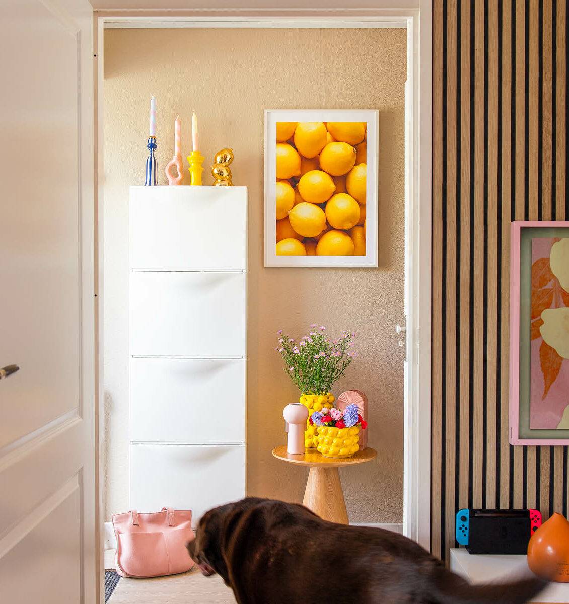 NL hal met hond en citroenen poster aan de wand