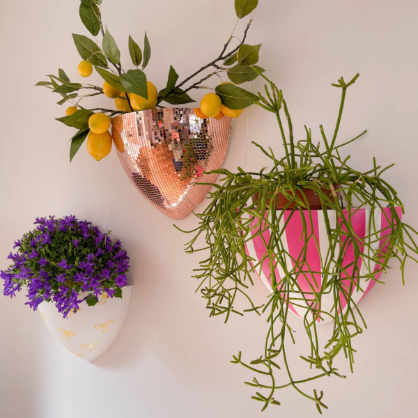 EN Botaniq hanging flower pot